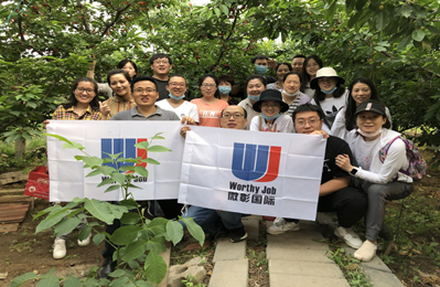 摘樱桃，户外烧烤，享受美好田园时光